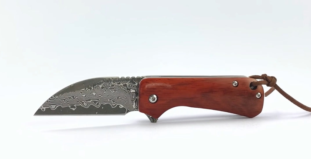 LEM® Damascus: BILTONG BOY